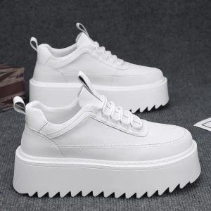 premium Sneaker